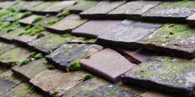 Cwmdu roof repair costs